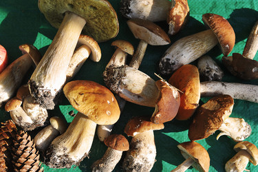 Similar image 21538920