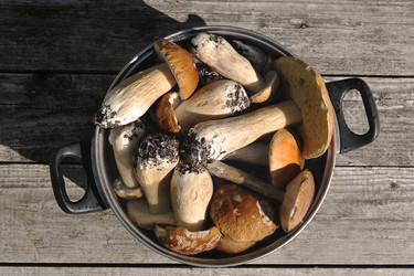 Similar image 21538921