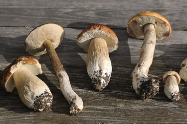 Similar image 21538923