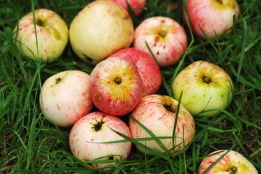 Similar image 21538928