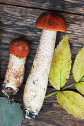 Similar image 21538931