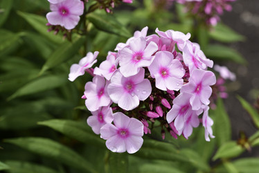 Similar image 21538051