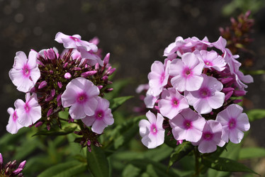 Similar image 21538052