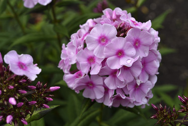 Similar image 21538053