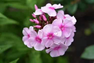 Similar image 21538054