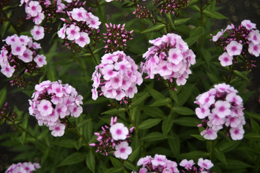 Similar image 21538057