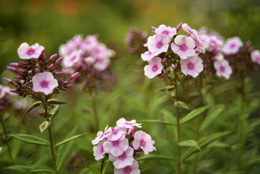 Similar image 21538058