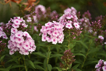 Similar image 21538059