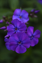 Similar image 21538060