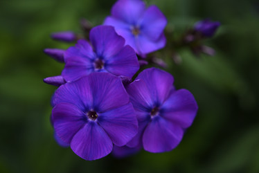 Similar image 21538061