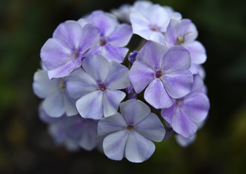 Similar image 21538062