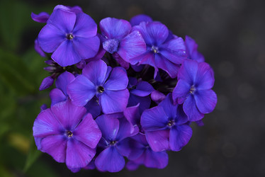 Similar image 21538063