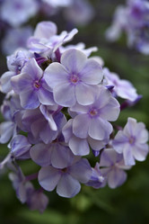 Similar image 21538064