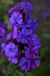 Similar image 21538065