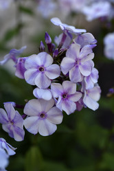 Similar image 21538066