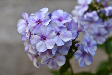 Similar image 21538067