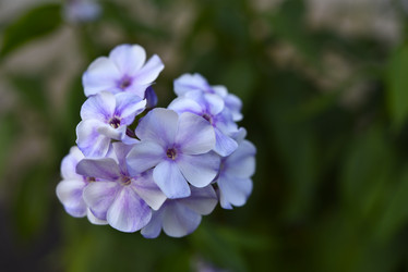 Similar image 21538068