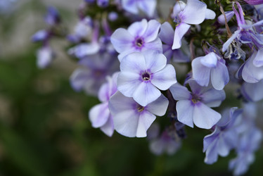 Similar image 21538069