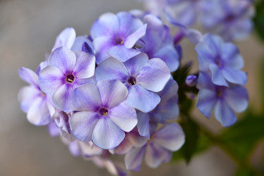 Similar image 21538070