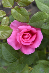 Similar image 21538073