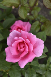 Similar image 21538075