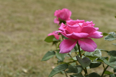 Similar image 21538076