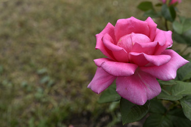 Similar image 21538078