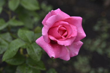 Similar image 21538081