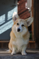 Similar image 21539253