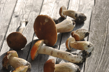 Similar image 21539258