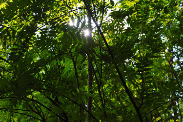 Similar image 21539259