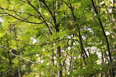 Similar image 21539260