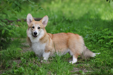 Similar image 21539263