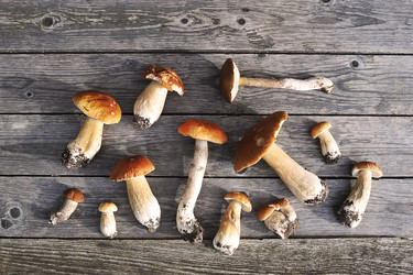 Similar image 21539264