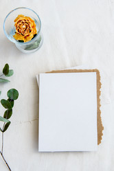 Similar image 21546057