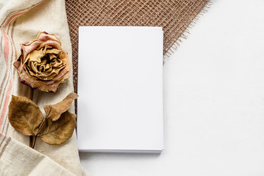 Similar image 21546062