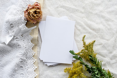 Similar image 21541894