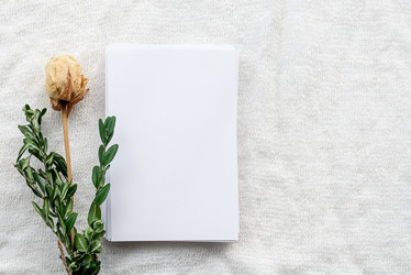 Similar image 21541895