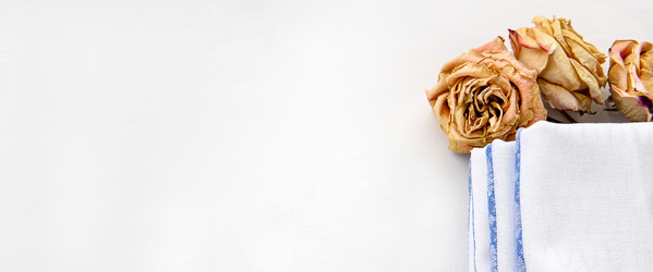 Similar image 21541900