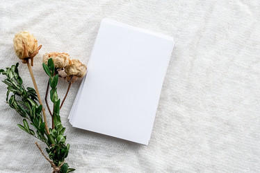 Similar image 21541901