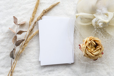 Similar image 21541903