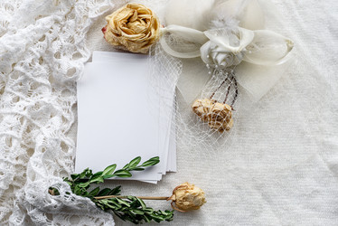 Similar image 21546937