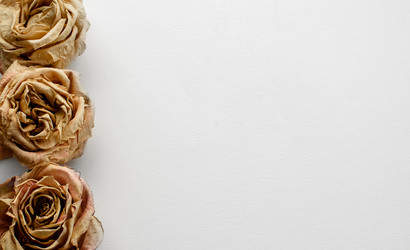 Similar image 21541906