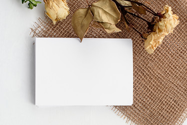 Similar image 21541908