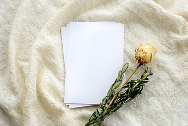 Similar image 21541910