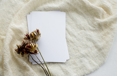 Similar image 21541911