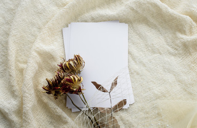 Similar image 21547016