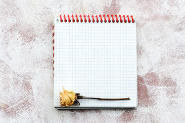 Similar image 21540091