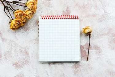 Similar image 21540092