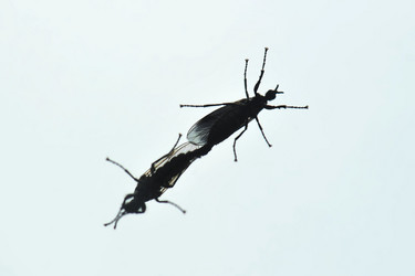 Similar image 21538489